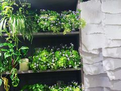 -绿房子方寸咖啡(星海名城店)