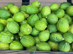 -introlemons(北京西单更新场店)