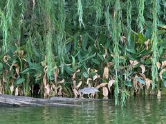 -杭州城北体育公园