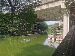 -小洲村