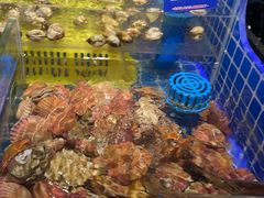 -锅儿欢海鲜火锅烤肉自助餐(东港凯虹店)