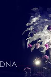 -DNA Wedding 婚礼记(上海店)