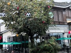 -星巴克臻选(扬州瘦西湖文化广场店)