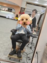 -V8潮牌·接发烫染连锁