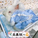 广州好去处-巨型棉花糖-Rua安哥拉兔