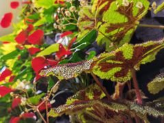 -Peet's Coffee皮爷咖啡(上海长风大悦城店)