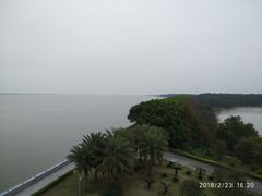 -大湾区中央湿地公园