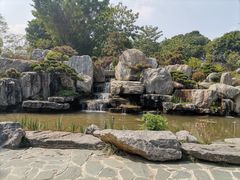 -东莞植物园
