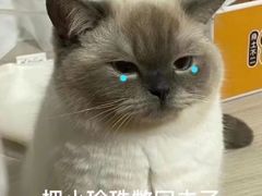 -宝发园名菜馆