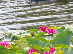 -前关湿地公园