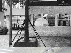 -泡桐树街