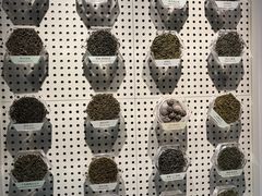 -中国茶叶博物馆(双峰馆区)