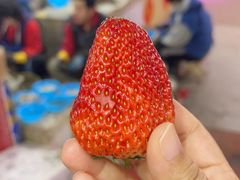 -桃源市场(解放路店)