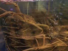 辣炒帝王蟹-蟹之国·精品蟹料理(极地店)