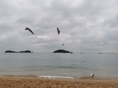 -傅家庄公园