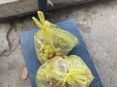 -马陆小张葡萄园农家乐