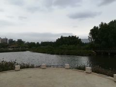 -大亚湾红树林城市湿地公园