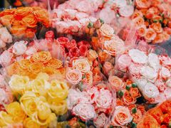 -循礼门鲜花花市(武汉循礼门店)