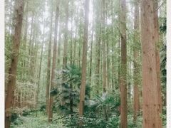 -上海怡沁园度假酒店
