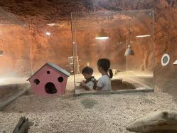 -酷嗒动物文化乐园(cutezoo西溪乐天城店)