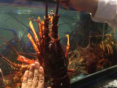 -金唐海鲜酒家
