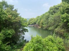 -白马涧龙池景区