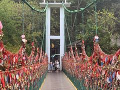 -西双版纳原始森林公园