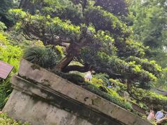 -成都杜甫草堂博物馆