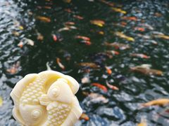 -宝墨园景区