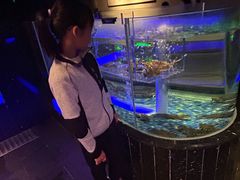 -荣轩(新荣记环球金融中心店)