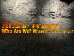 -国家自然博物馆