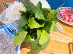 -青瓷火锅料理(西单大悦城店)