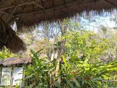 -大象粑粑造纸公园