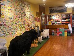 -如意林卡藏餐吧(大昭寺店)