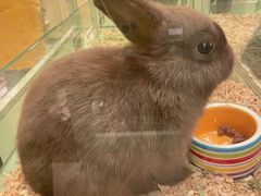 -龙猫仔乐园(惠福东路店)