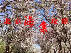 -元大都城垣遗址公园