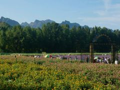 android_upload_pic-百里山水画廊乌龙峡谷