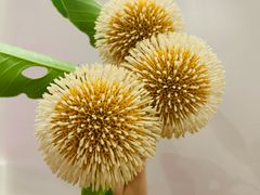 -春熙台韩国料理·章鱼肥牛(西丽店)