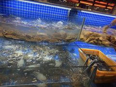 -星伦多自助料理·涮烤一体(虹悦城店)