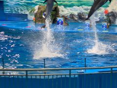 -多彩贵州城极地海洋世界