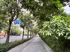 -荔枝公园-小平画像广场
