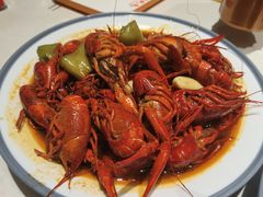 -杨氏青龙虾·羊蝎子(托乐嘉店)