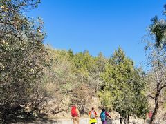 -北京鹫峰国家森林公园