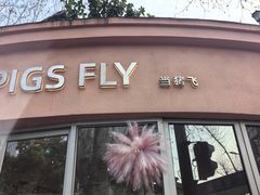 -WHEN PIGS FLY当猪飞
