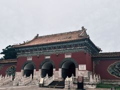 -北陵公园