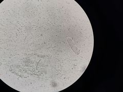 -太原东方动物医院(小店分院)