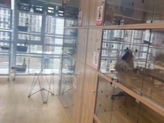 -喵百万·布偶·蓝金金渐层英短·猫舍(百子湾店)
