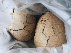 -金盆阿嬷香菇茶叶蛋(玄光店)