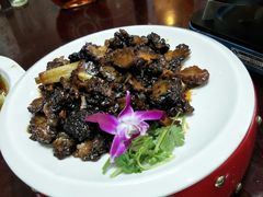 -兴芮温泉度假区