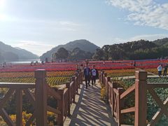 -广州市石门国家森林公园